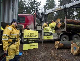 Kampf um bayerische Bäume