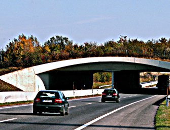 Wanderwege für Wildtiere