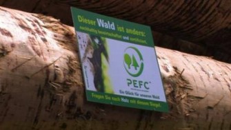 Niedersachsen: Nachhaltige Waldbewirtschaftung mit Gütesiegel.