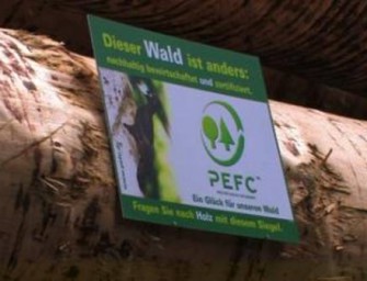 Niedersachsen: Nachhaltige Waldbewirtschaftung mit Gütesiegel.