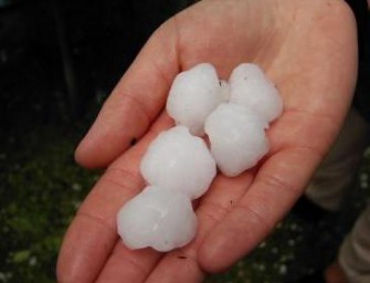 Österreich – Tausende von toten Stücken Wild nach Hagelschlag