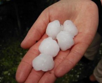 Österreich – Tausende von toten Stücken Wild nach Hagelschlag