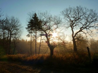 Die ARD-Themenwoche und die Jagd
