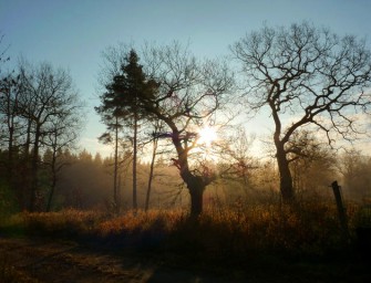 Die ARD-Themenwoche und die Jagd
