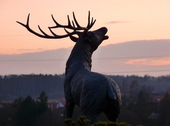 Jagdurteil: Berlin reagiert auf Strassburg