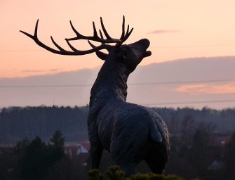 Jagdurteil: Berlin reagiert auf Strassburg