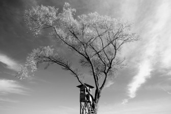 Faszination Hochsitz