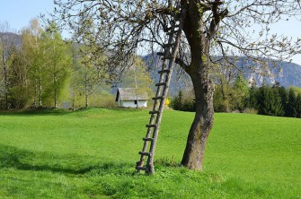 Reform der BG – Beiträge beschlossen