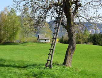 Reform der BG – Beiträge beschlossen