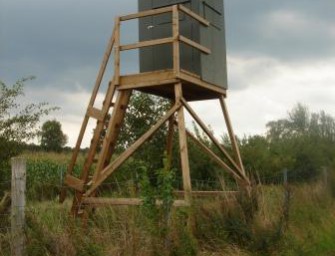 Schuss auf Hochsitz des Nachbarn – Förster verurteilt