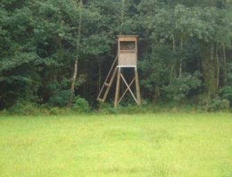 Tödlicher Jagdunfall