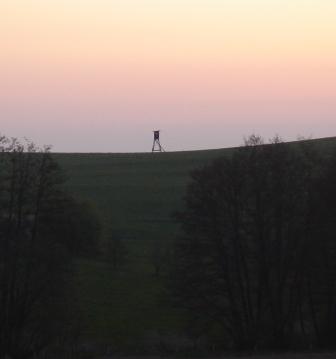 hochsitzsonnenaufgang.jpg