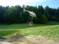 Medizin für den Wald
