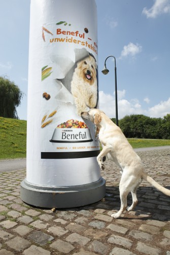 Der Duft der Stadt…