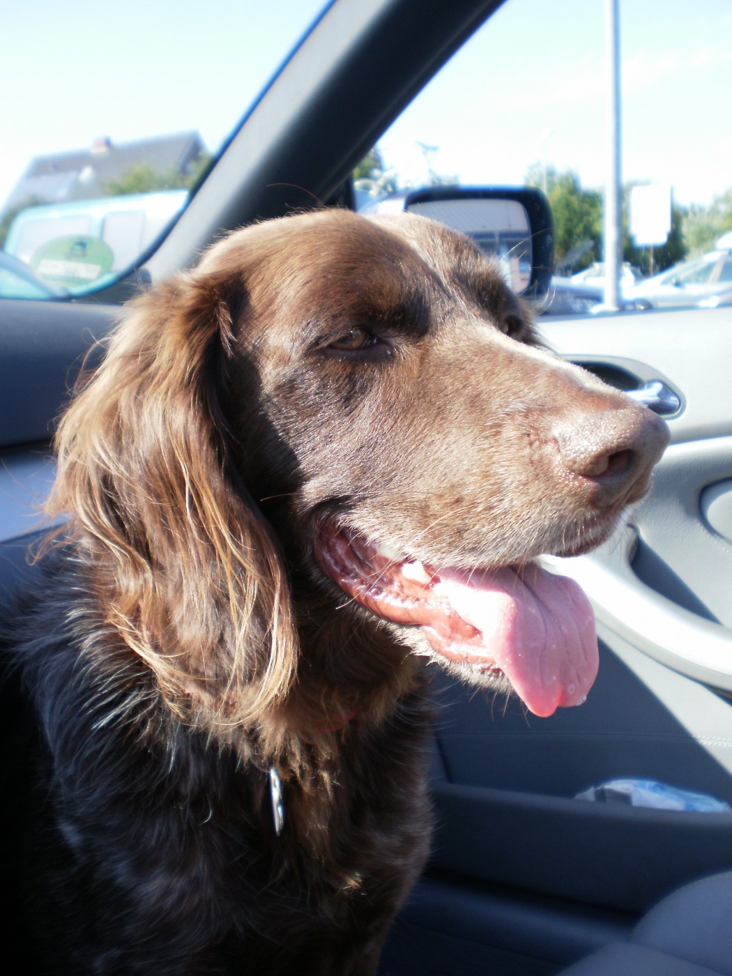 OLYMPUS DIGITAL CAMERA