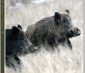 Film des Monats  Schwarzwildfieber 4