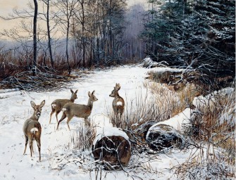 2012er JÄGER-Kalender ist da