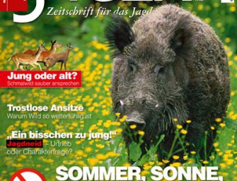 Das Juni-Heft: jetzt im Handel!