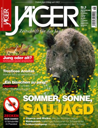 Das Juni-Heft: jetzt im Handel!