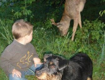 Mecklenburg-Vorpommern – Jägernachwuchs gesucht