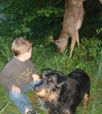 Mecklenburg-Vorpommern – Jägernachwuchs gesucht