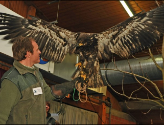 1. – 3. März Jagdmesse Alsfeld
