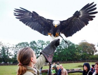 JARO – Erlebnismessenpremiere ein voller Erfolg