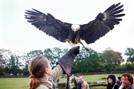 jaro_adler.jpg