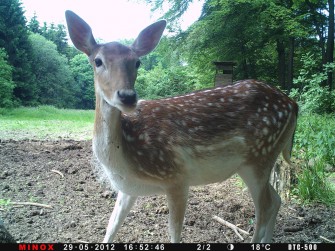 Minox Fotowettbewerb – weitere Bilder!