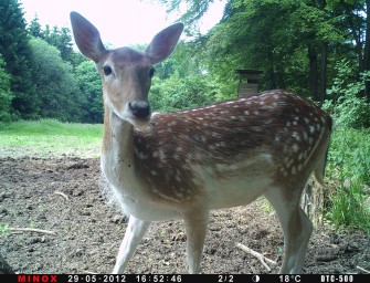 Minox Fotowettbewerb – weitere Bilder!