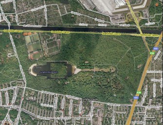 Wildschweinrotte bedroht Berliner Spaziergänger