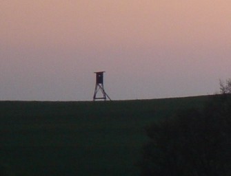 Hochsitzzerstörung mit glimpflichem Ausgang