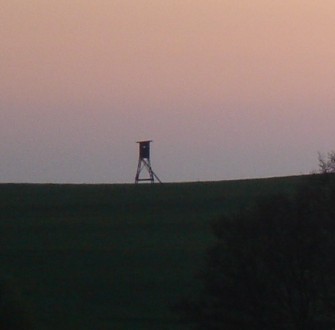 Hochsitzzerstörung mit glimpflichem Ausgang