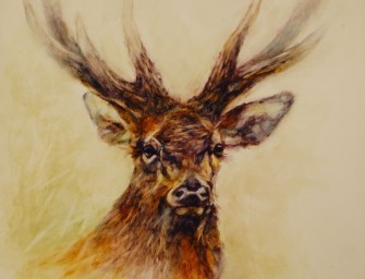 Ausstellung Waid-Impressionen