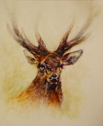 Ausstellung Waid-Impressionen