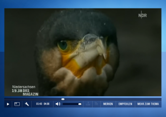 TV-Tipp: Weiter Ärger mit dem Kormoran!