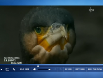 TV-Tipp: Weiter Ärger mit dem Kormoran!