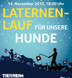 Köln: St. Martin auch für Vierbeiner