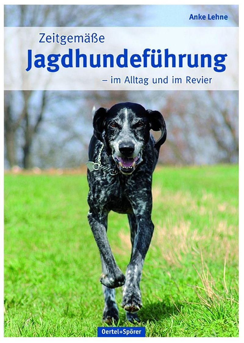 lehne-jahufhrg-2.jpg