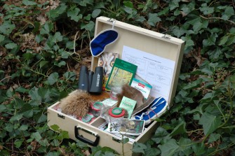 Ein Koffer voller Gold