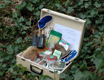 Ein Koffer voller Gold