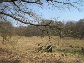 Strafanzeige gegen Hochsitzgegner