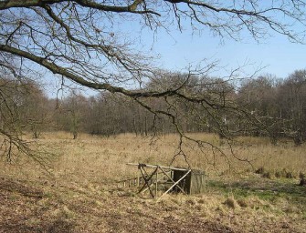 Strafanzeige gegen Hochsitzgegner