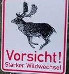Landesjagdverband Schleswig-Holstein warnt vor Wildunfällen!