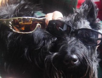 Fünf Milliarden für den Hund