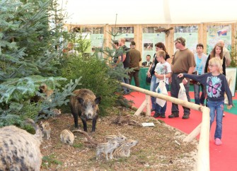 Messe Jagd, Fisch & Natur