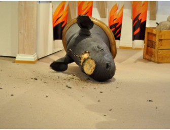 Neuer Nashorn-Diebstahl