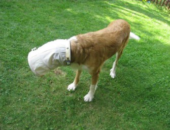 Neues Gadget gegen unerlaubtes Jagen