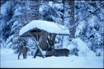 Notzeit was ist zu tun, was verboten?