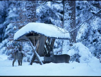Notzeit  was ist zu tun, was verboten?